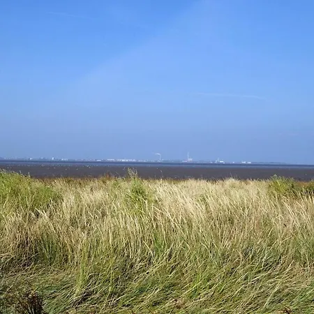Rose Comfortable * Dangast